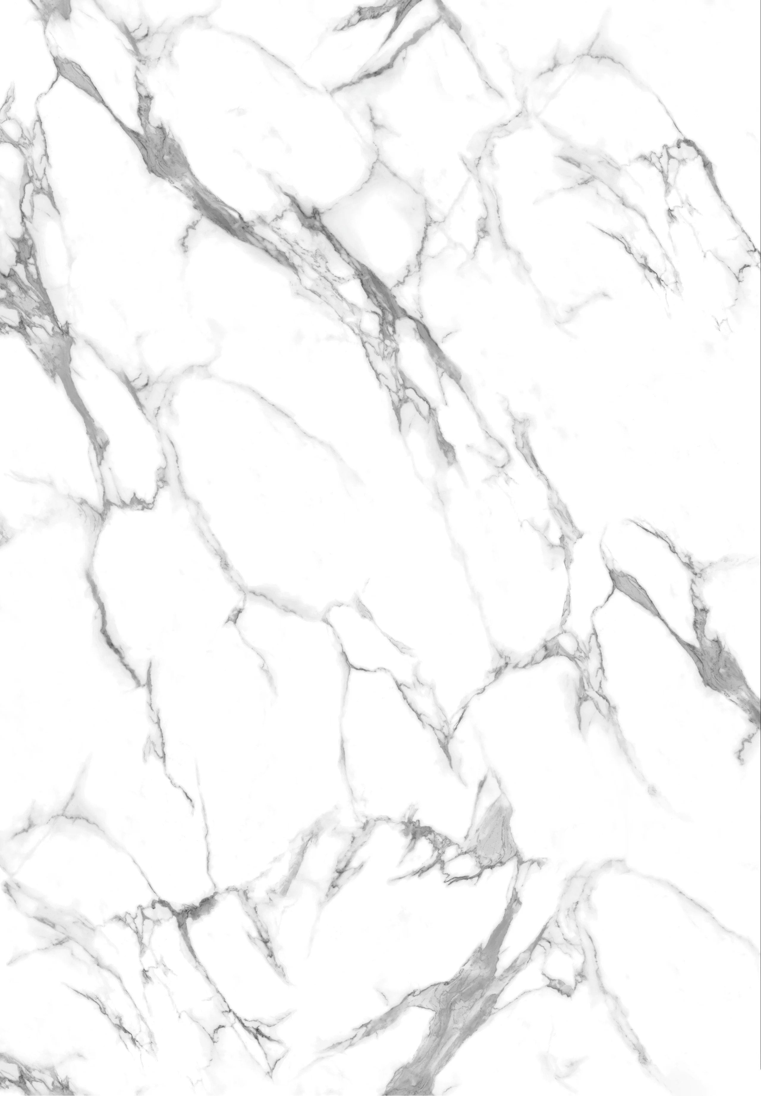 Calcutta marble | Carolina Wholesale Flooring